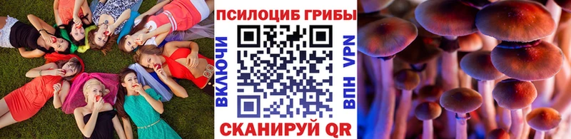 наркота  Цимлянск  Галлюциногенные грибы Cubensis 